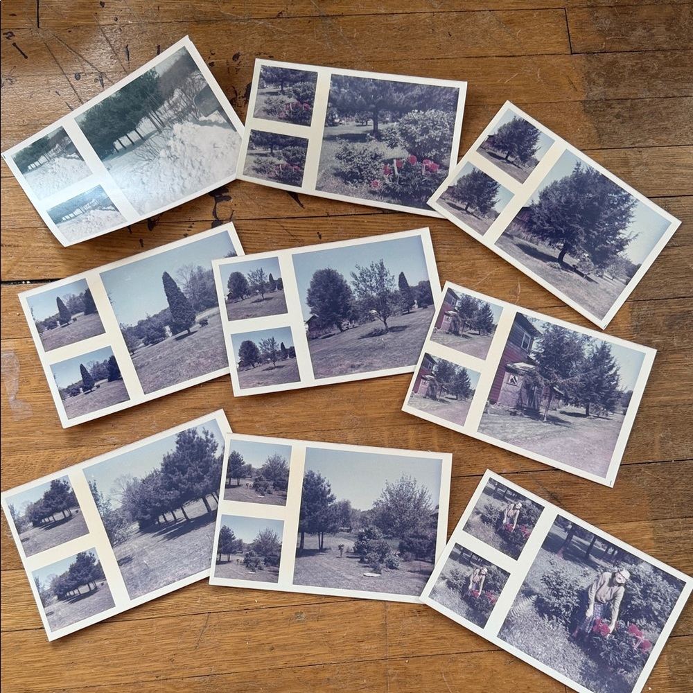 Vintage Nature family photos Set